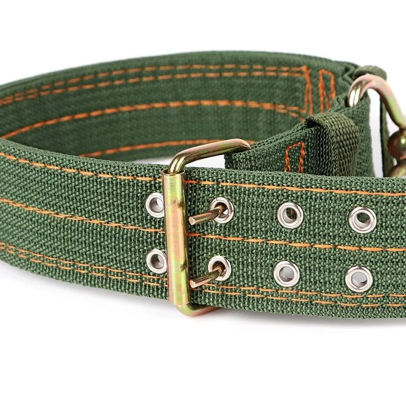 Cute Solid Army Green Canvas Dog's Collar