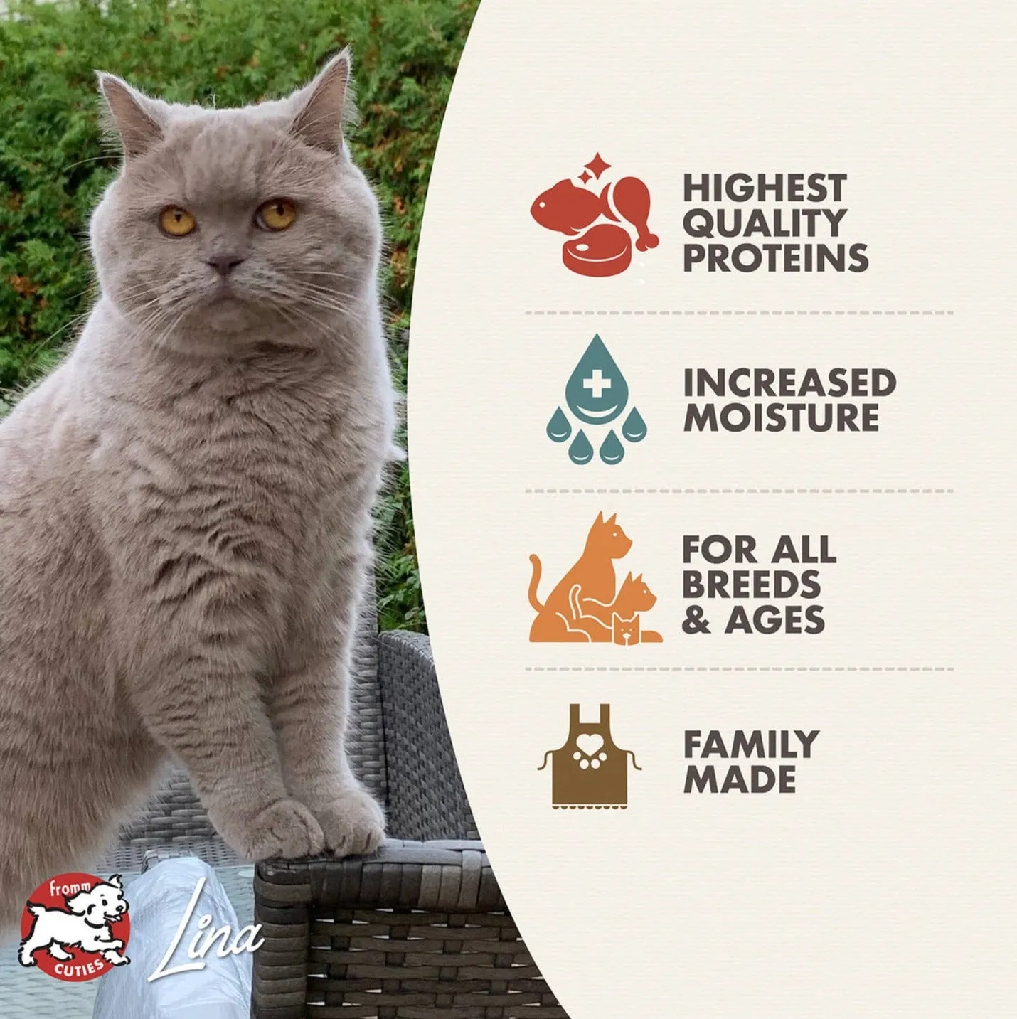Fromm Four-Star Wet Cat Food Shredded in Gravy Entrée